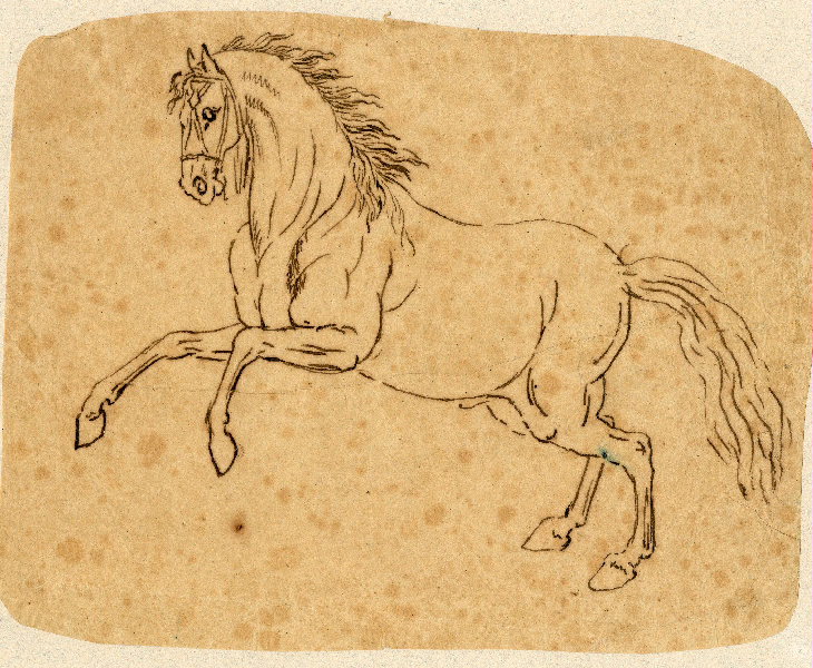 Cheval ; Dessin d'orfèvrerie
