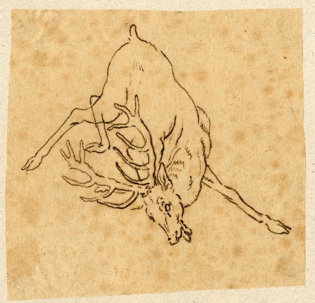 Cerf ; Dessin d'orfèvrerie