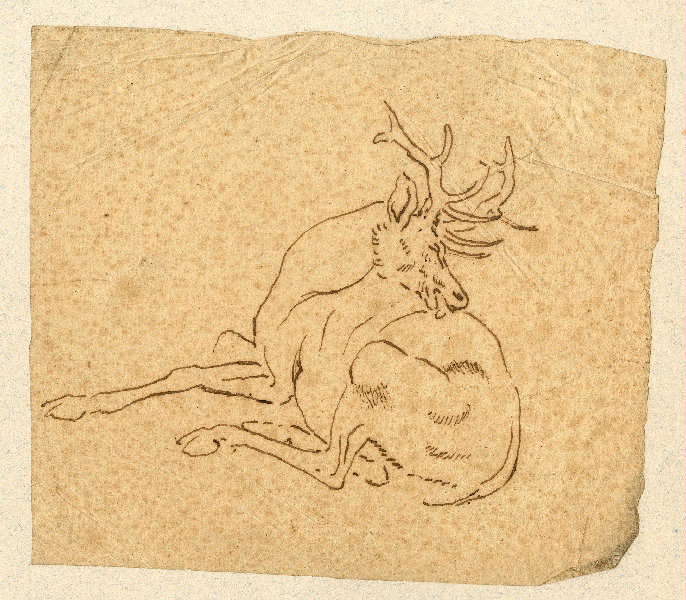 Cerf ; Dessin d'orfèvrerie