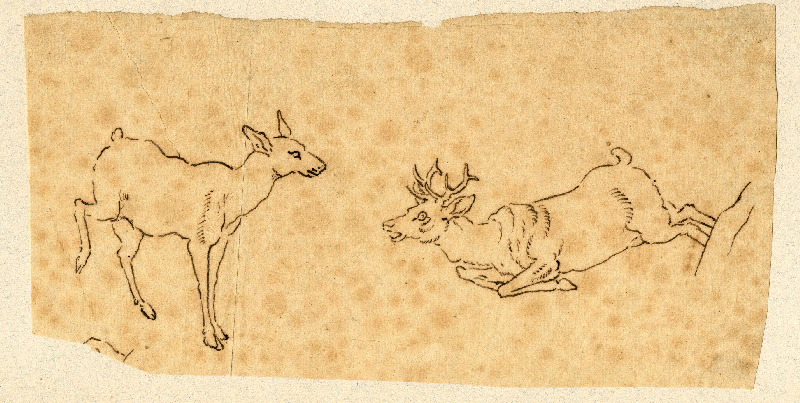 Biche et cerf ; Dessin d'orfèvrerie