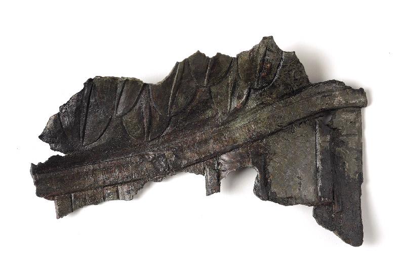 Fragment de cuirasse