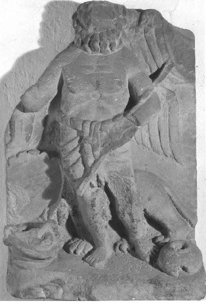 Aeon léontocéphale