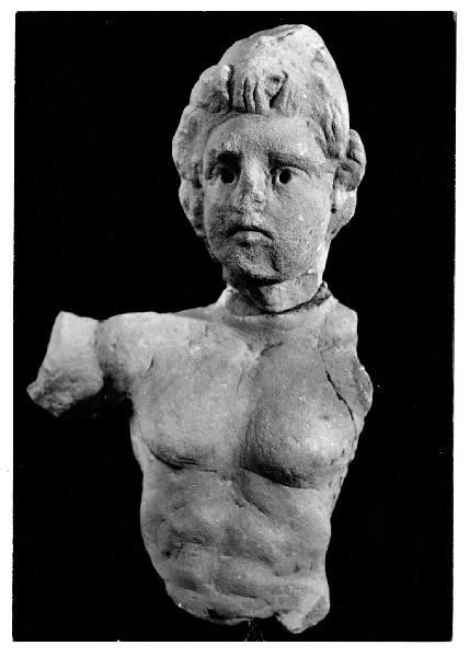 Mithra petrogenes