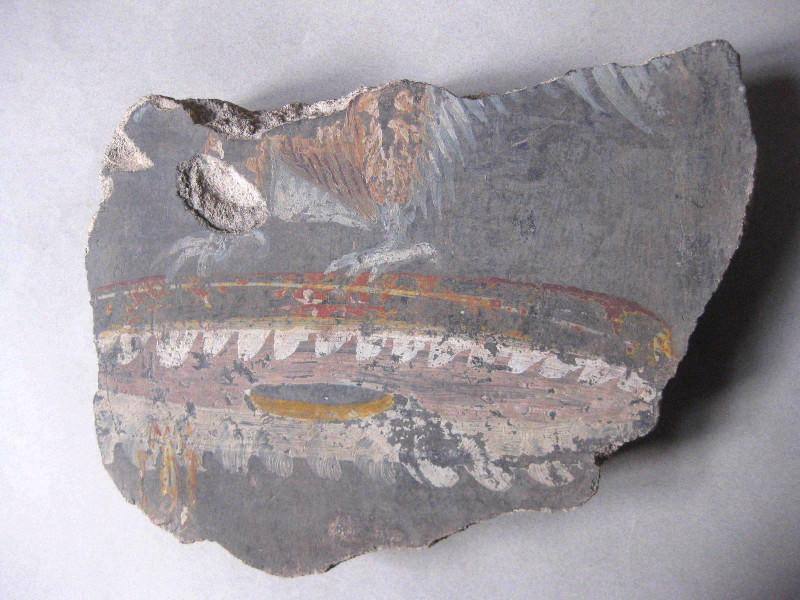 Aigle sur une ombelle