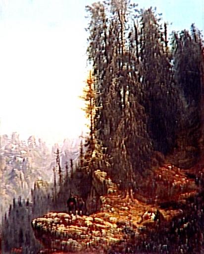 Paysage des Pyrénées