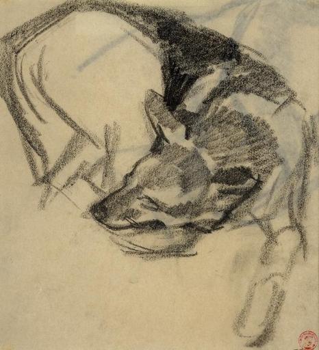 Chien couché