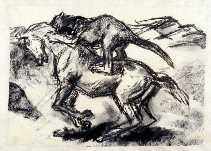 Fauve attaquant un cheval