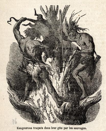 'Kangourous traqués dans leur gîte par les sauvages', p. 41