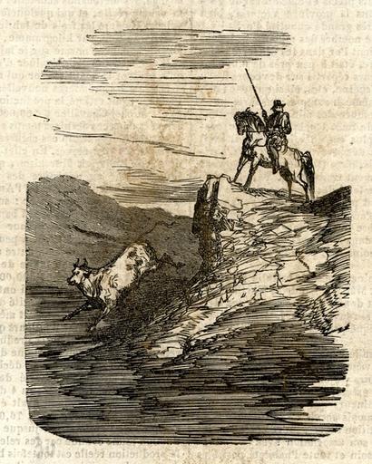 'Cavalier et taureau', p. 80