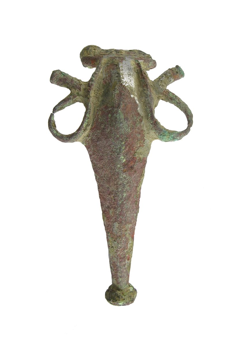 Fibule à protubérances latérales bouclées