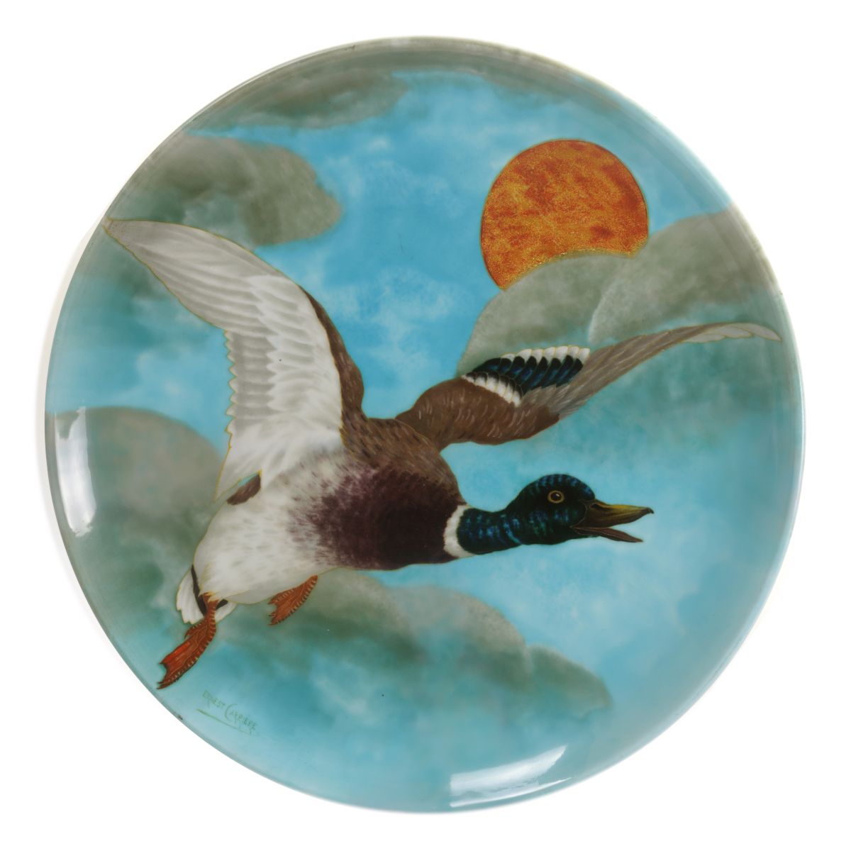 Canard colvert en vol