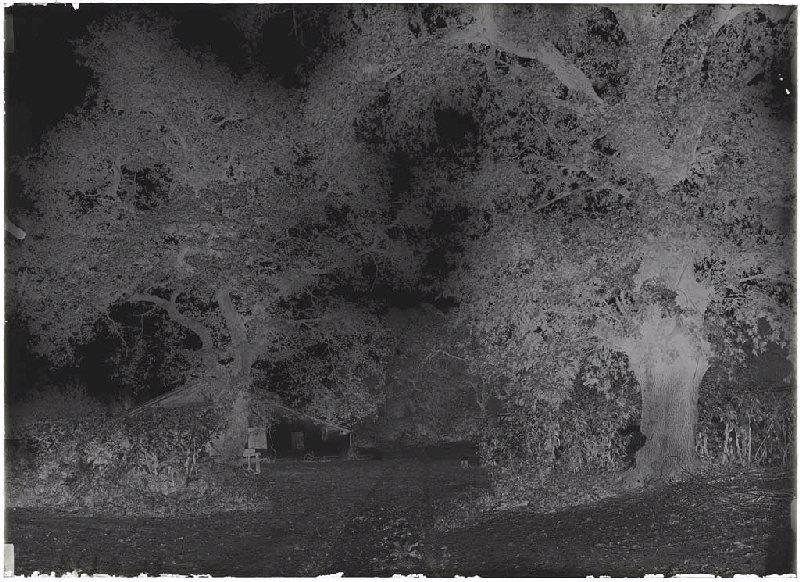 maison à auvent - Bacqueserre (Commensacq)