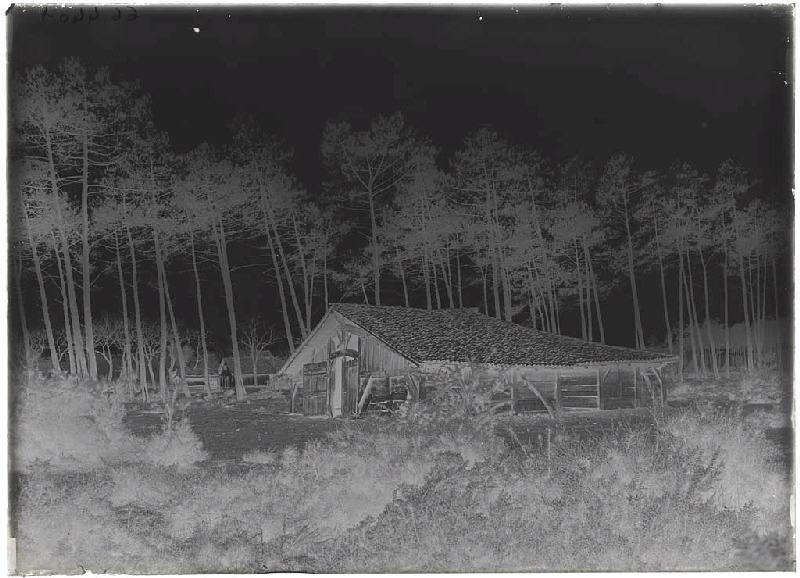 Parc voisin de la maison Mounichon - Grué (Lüe) (Titre attribué)