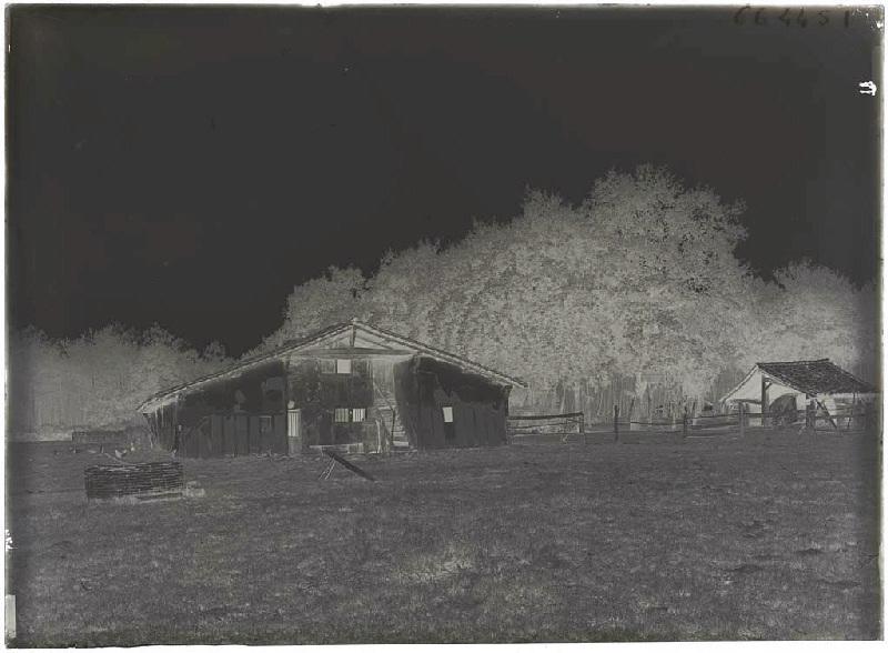 Maison Lensigne - Cornalis (Morcenx) (Titre attribué)