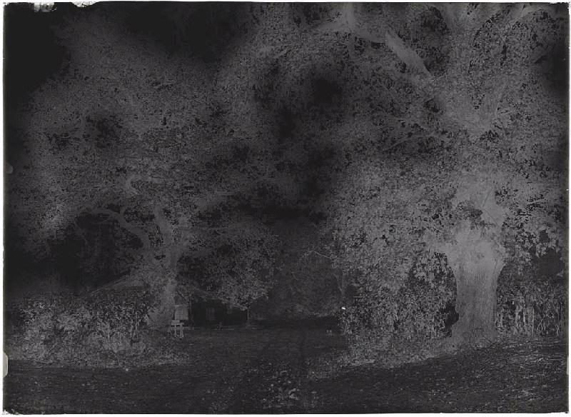 maison à auvent - Bacqueserre (Commensacq)