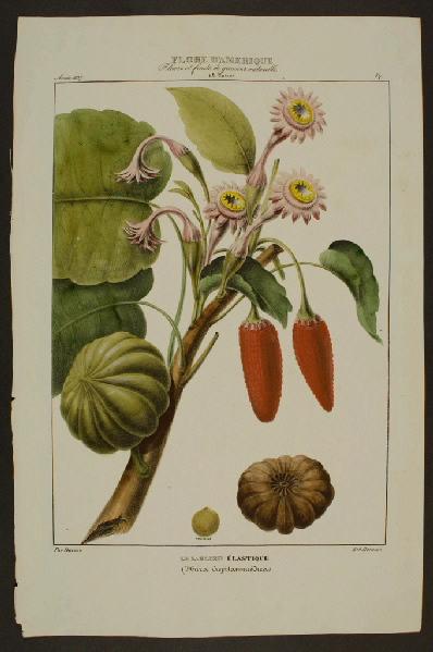 Le Sablier Elastique