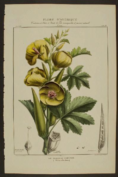 Le Gombeau comestible