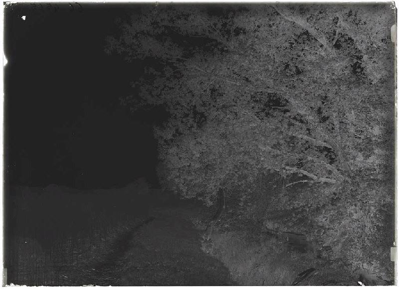 Bacqueserre (?) - Trensacq (?) (Landes) (Titre attribué)