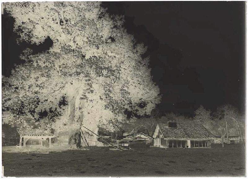 Maison - Bertrand (Ychoux) (Titre attribué)