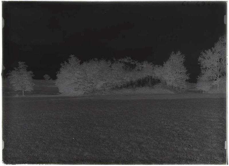 Pujoou Nigrousi - Belin-Beliet (Gironde) (Titre attribué)