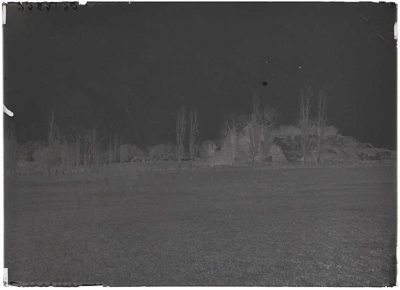 butte du château - Belin-Beliet (Gironde) (Titre attribué)