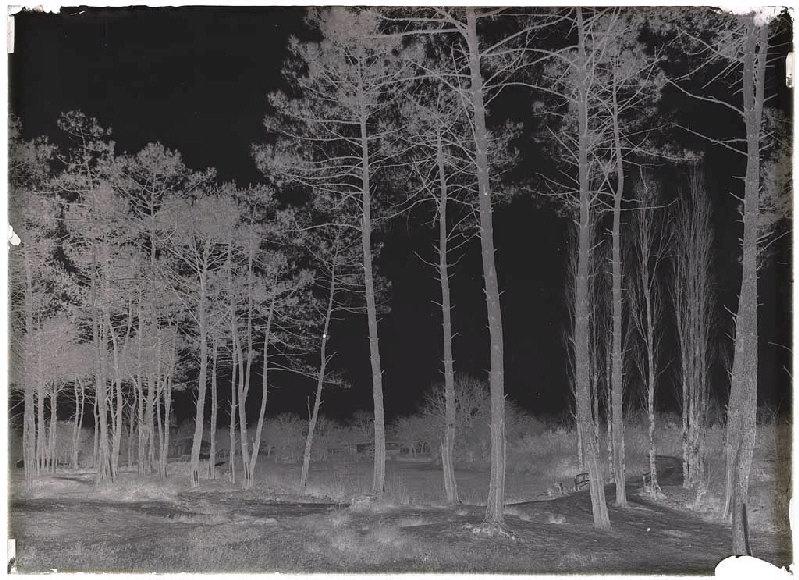 'Poun de las Crabes' - Commensacq (Landes) (Titre attribué)