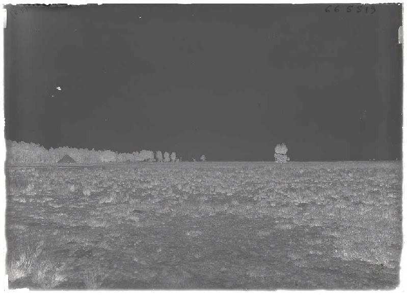 borde de Cournilley - Sanguinet (Landes) (Titre attribué)