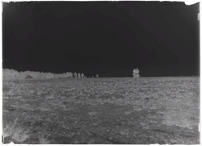 borde de Cournilley - Sanguinet (Landes) (Titre attribué)