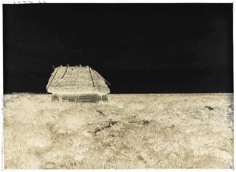 borde de Piaougut - Sanguinet (Landes) (Titre attribué)