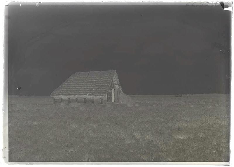 borde dans la lande - Rainemorte (Trensacq) (Titre attribué)