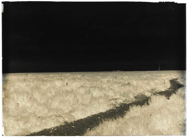 Craste et lande de la borde de Baptiste - Sanguinet (Landes) (Titre attribué)