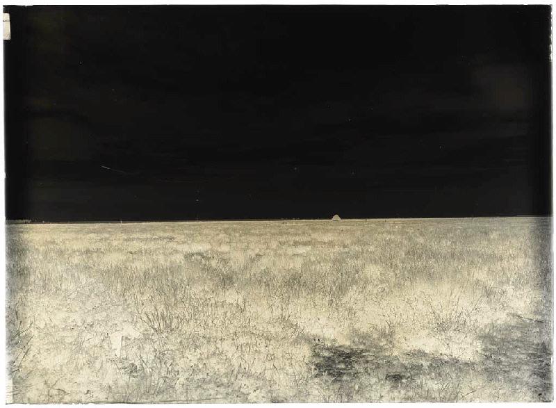 lande de la borde de Piaoûgut - Sanguinet (Landes) (Titre attribué)