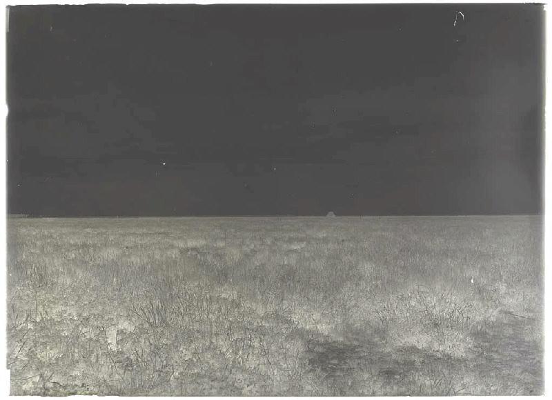 lande de la borde de Piaoûgut - Sanguinet (Landes) (Titre attribué)