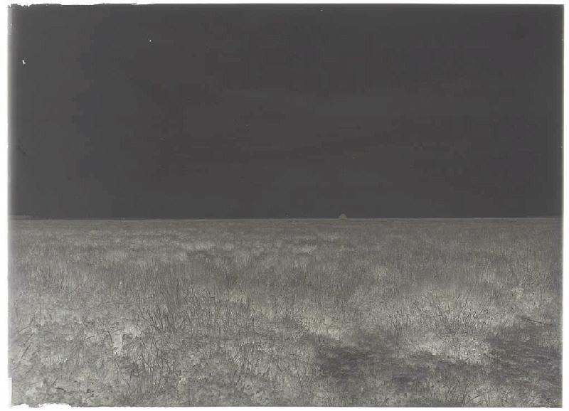 lande de la borde de Piaoûgut - Sanguinet (Landes) (Titre attribué)