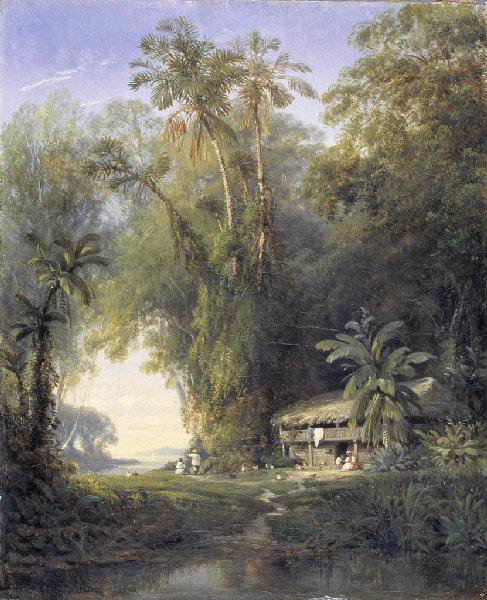 Paysage antillais au bord de la mer