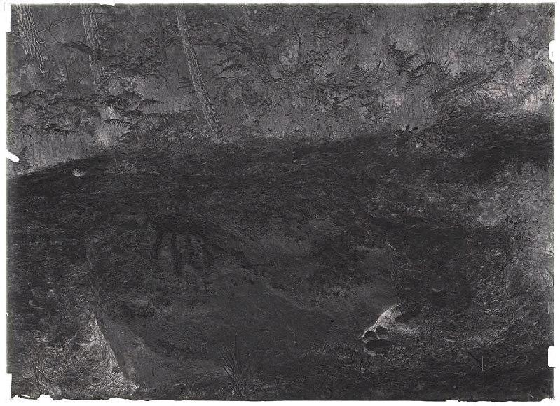 La Pierre du Diable - Montespiou (Lugos) (Titre attribué)