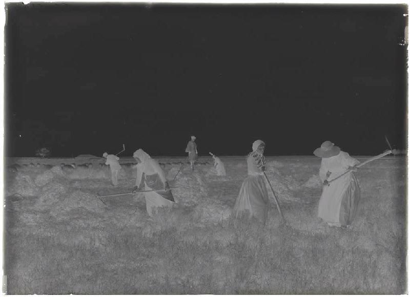 'Taillayres', coupeuses de bruyère - Pradéou (Commensacq) (Titre attribué)