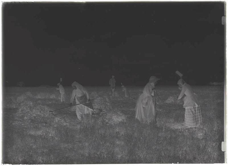 'Taillayres', coupeuses de bruyère - Pradéou (Commensacq) (Titre attribué)