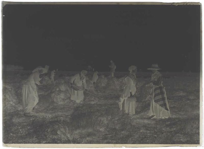 'Taillayres', coupeuses de bruyère - Pradéou (Commensacq) (Titre attribué)