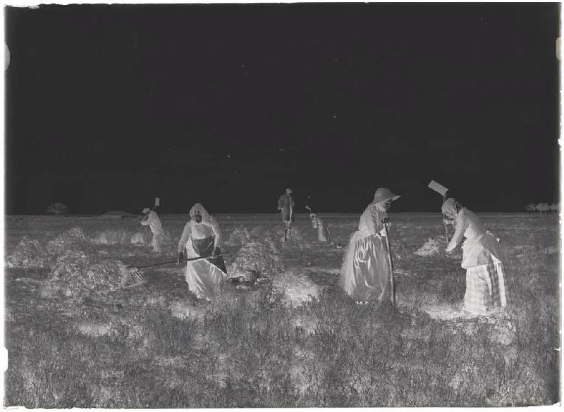 'Taillayres', coupeuses de bruyère - Pradéou (Commensacq) (Titre attribué)