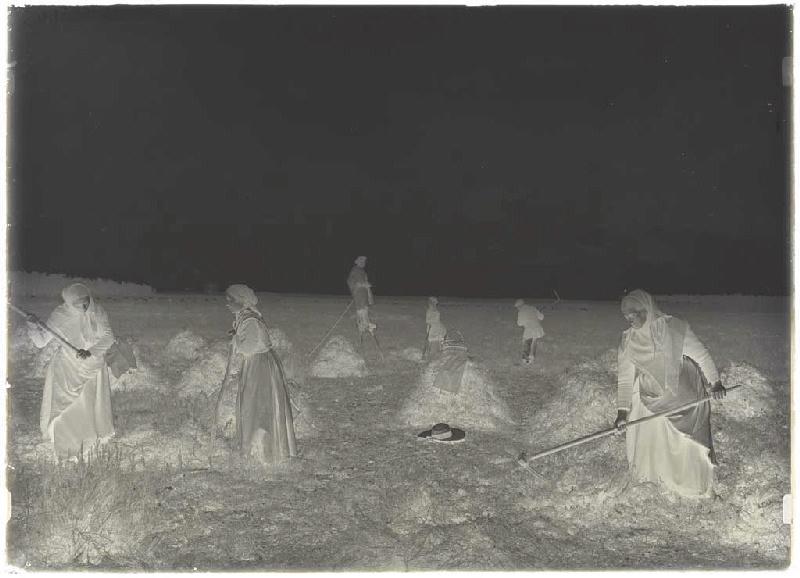 'Taillayres', coupeuses de bruyère - Pradéou (Commensacq) (Titre attribué)