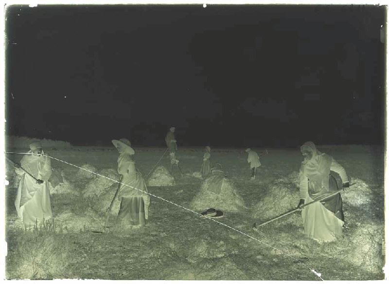 'Taillayres', coupeuses de bruyère - Pradéou (Commensacq) (Titre attribué)