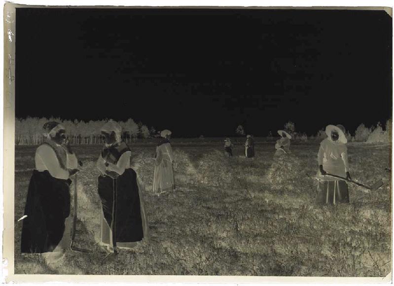 'Taillayres', coupeuses de bruyère - Pradéou (Commensacq) (Titre attribué)