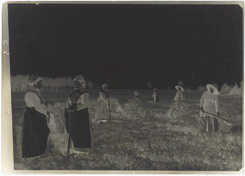 'Taillayres', coupeuses de bruyère - Pradéou (Commensacq) (Titre attribué)