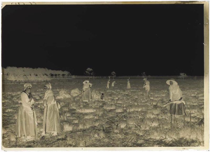 'Taillayres', coupeuses de bruyère - Pradéou (Commensacq) (Titre attribué)