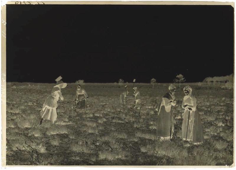 'Taillayres', coupeuses de bruyère - Pradéou (Commensacq) (Titre attribué)