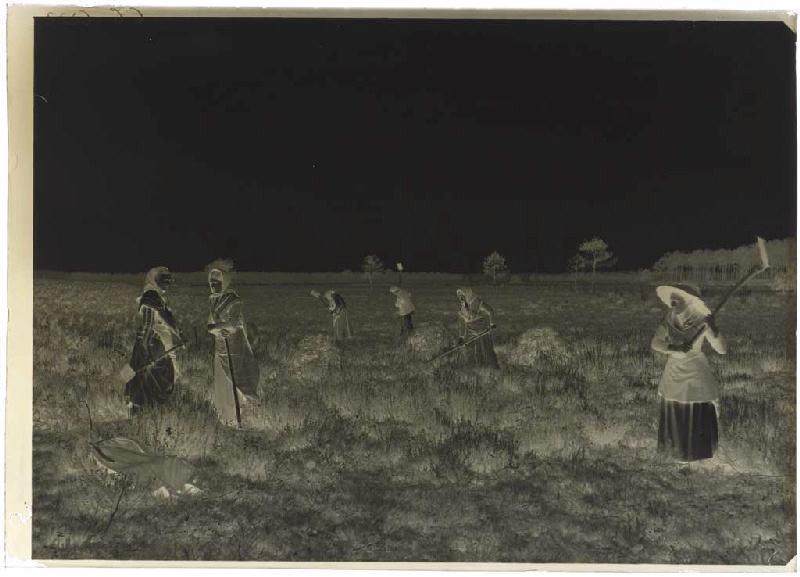'Taillayres', coupeuses de bruyère - Pradéou (Commensacq) (Titre attribué)