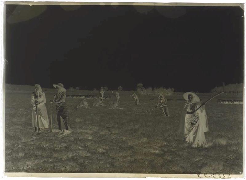 'Taillayres', coupeuses de bruyère - Pradéou (Commensacq) (Titre attribué)
