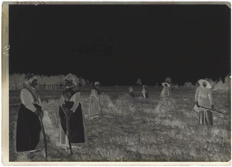 'Taillayres', coupeuses de bruyère - Pradéou (Commensacq) (Titre attribué)