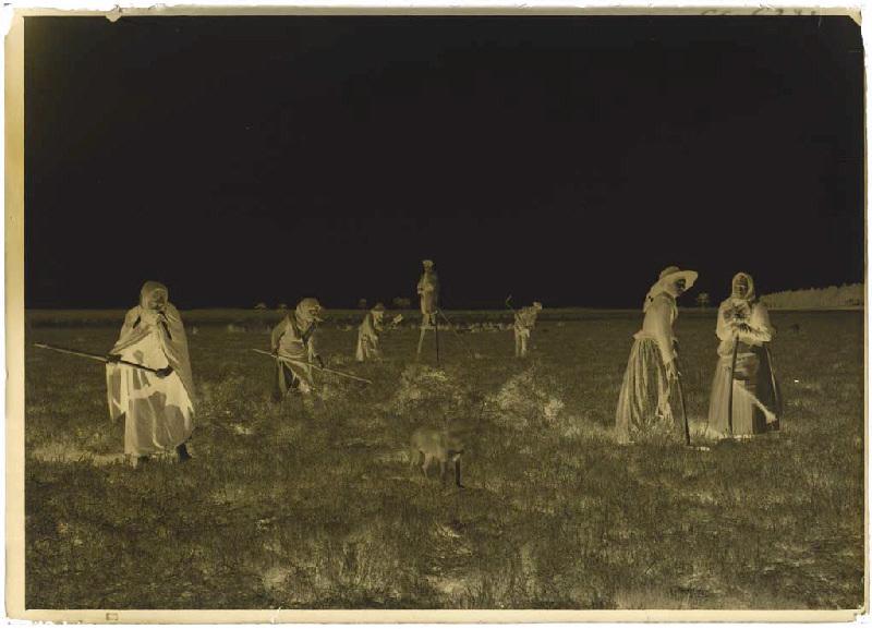 'Taillayres', coupeuses de bruyère - Pradéou (Commensacq) (Titre attribué)
